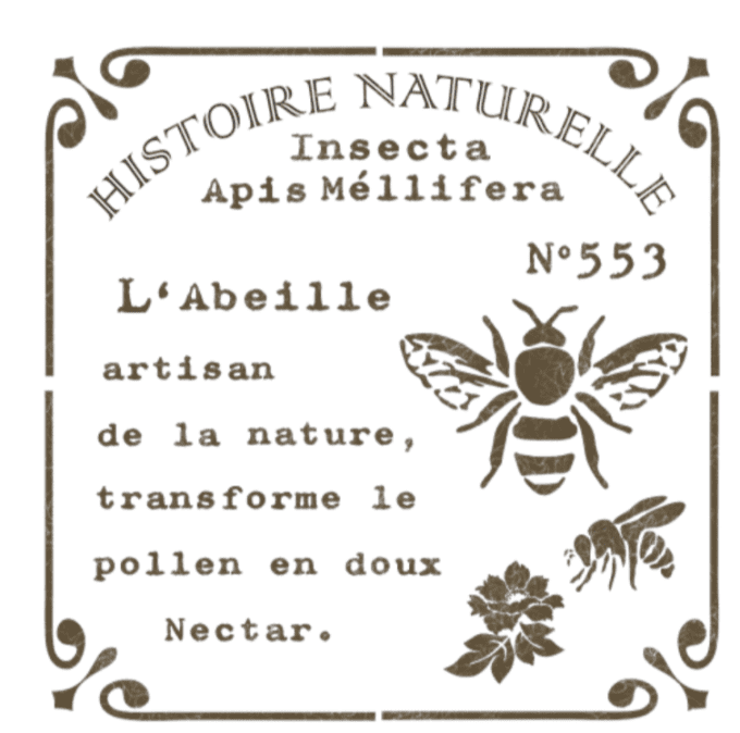 Pochoir Abeille Histoire Naturelle